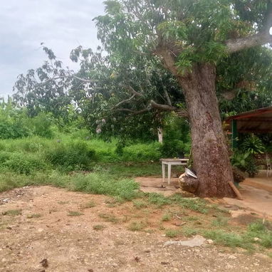 FINCA EN VENTA 🗝️🏡🌳 - Img 125702418