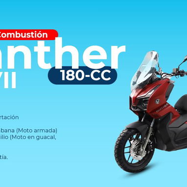 Motos de Combustión Panther - 7/8