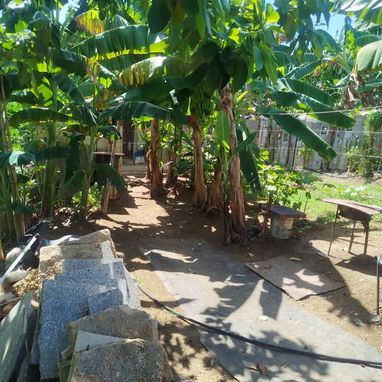 Casita de madera - 4/10