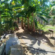 Casita de madera - Img 57448427