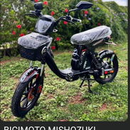 BICIMOTO MISHOZUKI GRILLO PRO MAX 14 GENERACIÓN ⚙️CARACTERÍSTICAS: • 3000 W • 48 Volt • 45 Amp • batería de litio - Img 55899988