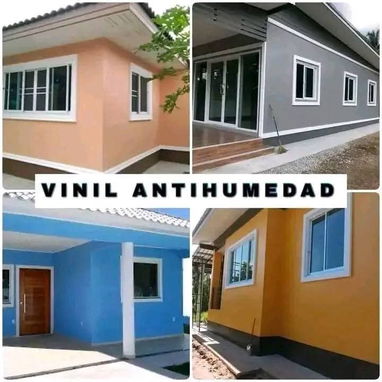 Pintura de vinil  formato 10 litros de alta gama ✅️ - 3/6