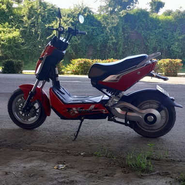 Motorina PEGA Xmen+ - Img 124327607