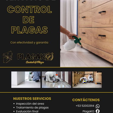 Fumigación Y Control De Plagas - Img 113507758