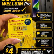 Llegaron las Rsim WellSim Pro por Cantidad actualizadas a la última versión 🔓 - Img 55409487