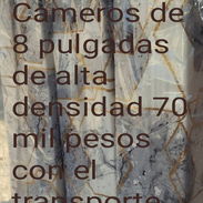 Colchones de espuma Cameros de 8 pulgadas de alta densidad - Img 55682330