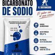 BICARBONATO DE SODIO 750 lb - Img 55752388