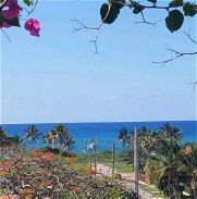 Vista al mar y piscina en Boca Ciega.  Llama AK 50740018 - Img 43862508