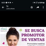 BUSCAMOS PROMOTORES DE VENTA - Img 45674461