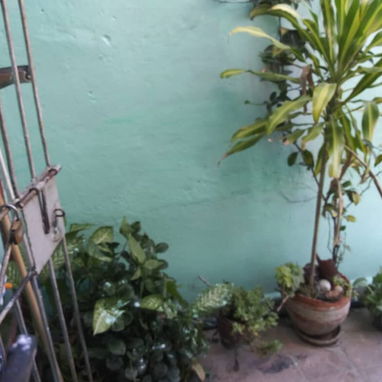 Vendo casa en el Cerro - Img 126155818