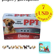 Implementos para mascotas - Img 52428082