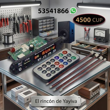 Módulos de audio sin y con amplificador - Img 124341192