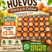 Cajas de huevos - Img 55881484
