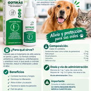 Colirios oticos para mascotas - Img 58357938