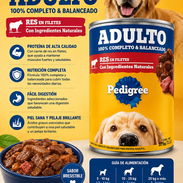 Alimento enlatado para mascotas - Img 58159414