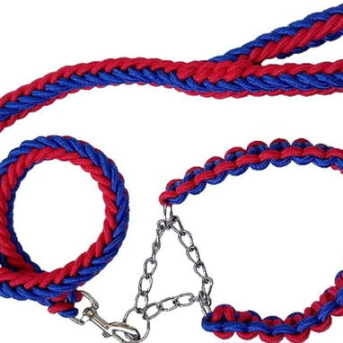 CORREA TRENSADA + COLLAR PARA PERROS 🐕 DOG&CAT 💯 - Img 86677891