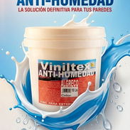Vinil hantiumedad para interior y exterior - Img 55657322