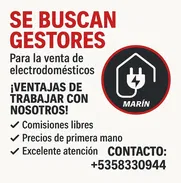 Empleo de gestor - Img main-image-50734278