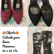 Zapatos de dama - Img 55393111