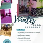 🌴 Villa Cocosolo en Viñales: Tu Refugio Auténtico en la Naturaleza 🌴 - Img 49571881