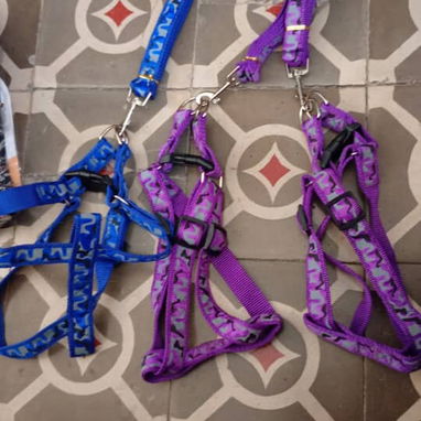 SE VENDEN ARTICULOS DE PERROS POR UNIDAD Y CANTIDAD LOS MEJORES PRECIOS - Img 117850233