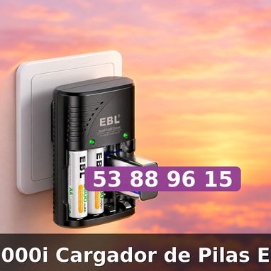 Cargador Pilas EBL - 2/3