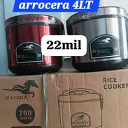 Olla y Aroceras - Img 56792762