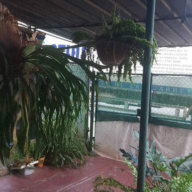 SE VENDE APARTAMENTO PLANTA BAJA EN EL REPARTO BAHÍA - Img 120709136