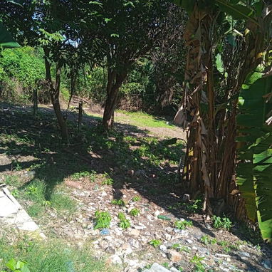 Alquiler de finca en Marianao - 2/10