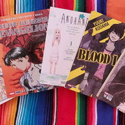 Mangas variados - Img 55338681