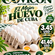Huevo de importación - Img 58404477