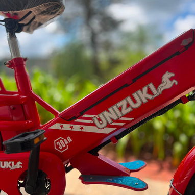Bicicleta eléctrica IZUKI - Img 124331370