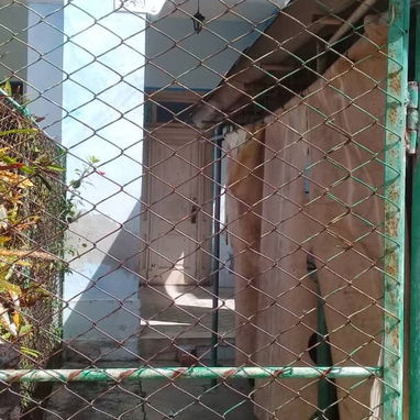 Se vende casa en el vedado (sin intermediarios o corredor de permuta) - Img 62271250
