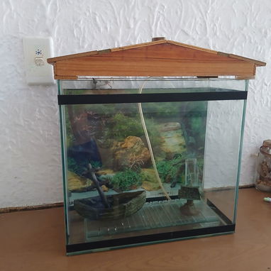 Vendo pecera con oxigenador, filtro, adornos y techo - Img 127862233