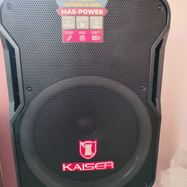 Bafle Amplificador Kaiser. - 2/4