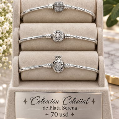 Plata cifrada - 2/10
