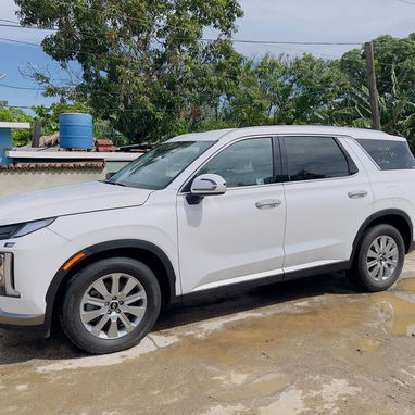 ‼️‼️2025 Hyundai Palisade Blanca Full Equipo SUV de Lujo Excelente Estado 12kilometro - Img 123781640