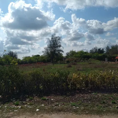 Terreno en playa tarara - Img 121498074