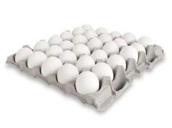 150 cartones de huevos - Img main-image-45868594