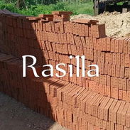 Rasilla el mt - Img 55389062