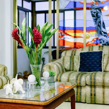 🏠 Apartamento De Renta En El Vedado. 💡Respaldo energético con Ecoflow. 💵2000 usd por mes.📱+5363170269 - 8/8