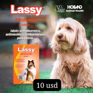 Accesorios para mascotas - Img 123353911