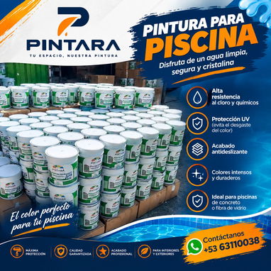 Geoali,  hizo el trabajo de diseño gráfico a PINTARA una marca de pintura y ect. - 7/10