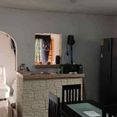 Casa con todos dendro - 2/2