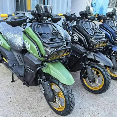 Moto de combustión automática Italy RX Combat 200 cc - 2/5