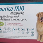 Simparica Trio 20-40kg - 18 USD - Img 54542600