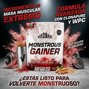 Monstrous Gainer - Img 57919660