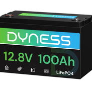 Batería LiFePO4 Dyness AR1.2 de 12 V y 100 Ah con protección contra baja temperatura - Img 56789309