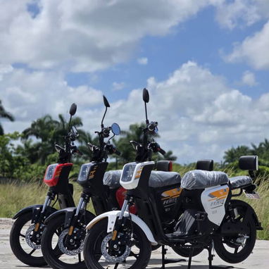 Bicimotos Fénix - 3/3