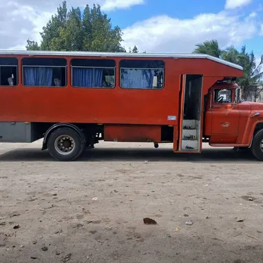 Camión 🚒 - Img 120234038